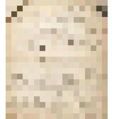 Телеграмма № 97635 в г. Чердынь В.Н.Алину от Алина из г. Москвы, 08.03.1910 г