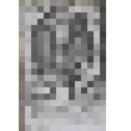 Портрет короля?