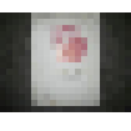 Почетная грамота. Райком КПСС, Исполком. р.п. Сапожок. 21 ноября 1980 года