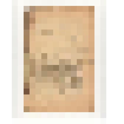 47-му Очередному Нижегородскому Губернскому Земскому Собранию. Доклад - отчет по кустарному отделению