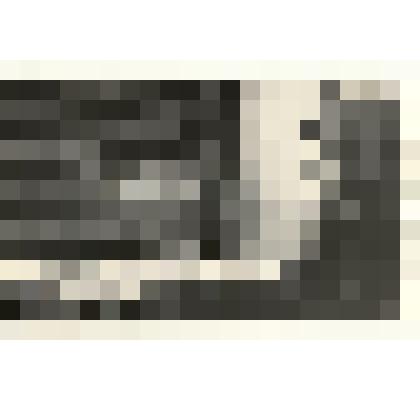 Фотография: на Каменском инкубаторе