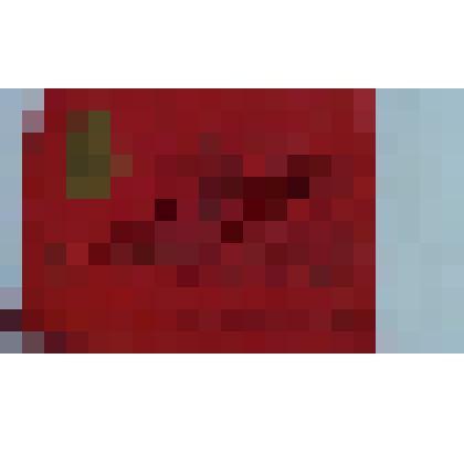 Мандат № 162 С.С. Дзержинской