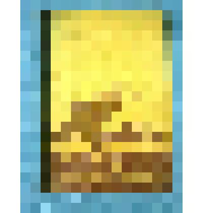 Книга "Человек с ружьем"