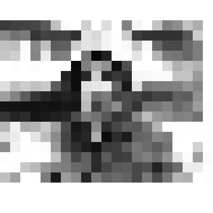 Фотография ч/б. Злобин Н.А