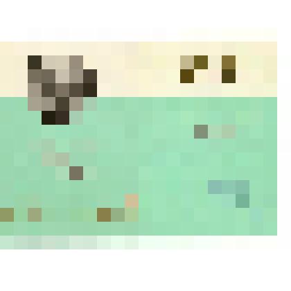 Почетная грамота Иванченко А.А