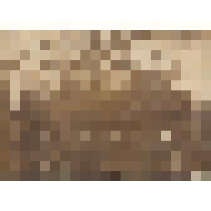 Фото. Воспитанники Темясовского детского дома