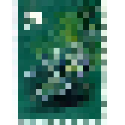 Марка почтовая. Почта СССР, 1978 год, 6 коп. Серия "Животный мир Антарктики". Белокровная щука