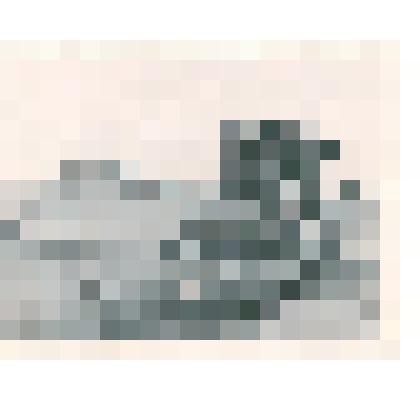 Фотография: канавокопатель на строительстве железной дороги Карасук-Камень