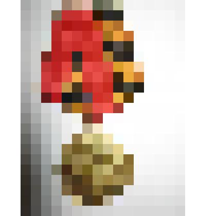 Медаль юбилейная « 60 лет  Вооруженных Сил СССР.»