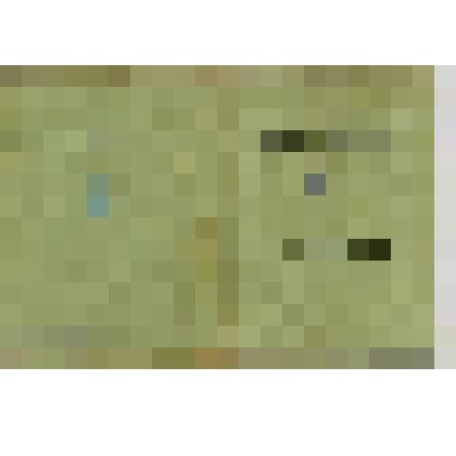 Свидетельство механика - водителя гусеничного тягача Громушкина В. А. 1979 г