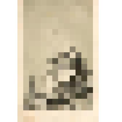 Литография. "Троицкий монастырь. Московская губерния. Собор Богоматери и Архангельский собор"