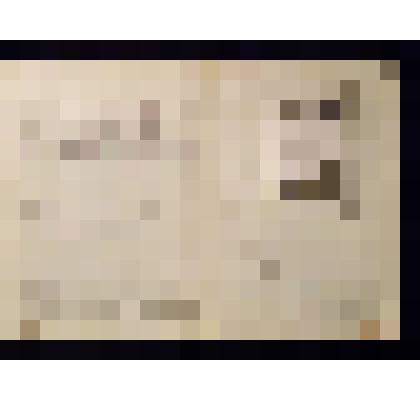 Удостоверение водительское П.Шевченко