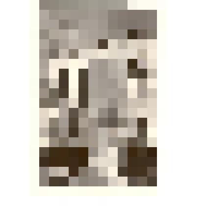 Фотография. Учащиеся школы №3 г.Камня-на-Оби у памятника на братской могиле участникам гражданской войны