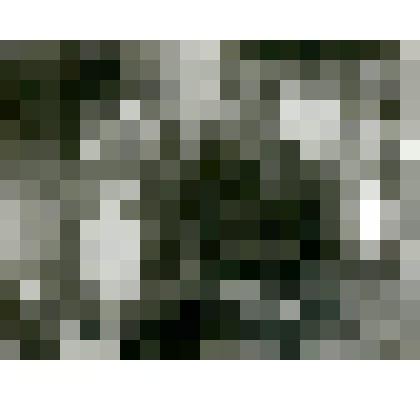 Фотография. Типы тунгусок в уроч. Няльгя