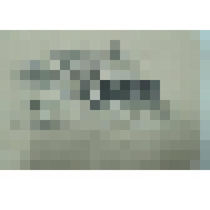 1. Окраина (На задворках дома). 2. Орнамент. Рисунок двусторонний