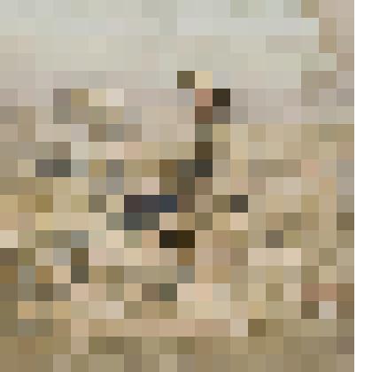 Через силу. Эскиз