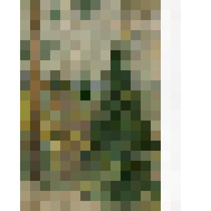 Этюд. На холме у реки Шерны