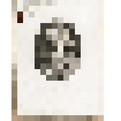 Портрет кардинала Ф. де Ларошфуко. С гравюры Г. Эделинка