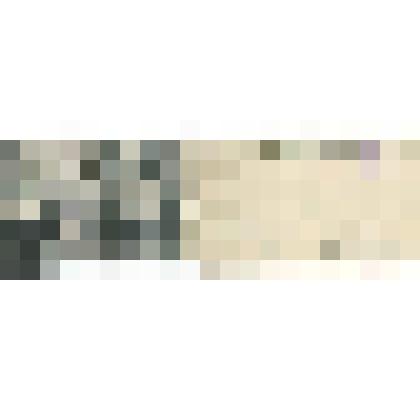 "Восьмая аудитория (актовый зал) С.-Петербургских высших коммерческих счетоводных и железнодорожных курсов М. В. Побединского [Невский пр., 102]", открытка