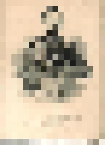 Портрет Максимилиана Лейхтенбергского