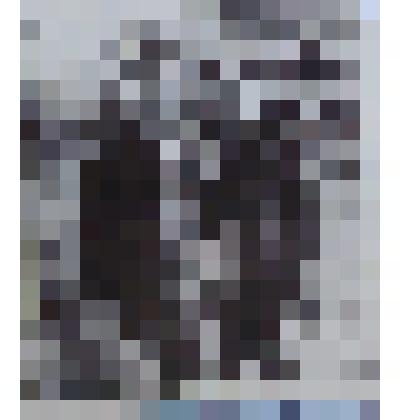 Фотография. Локомобильная бригада