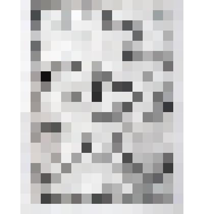 Портрет Ариадны Александровны Шмидт.1927