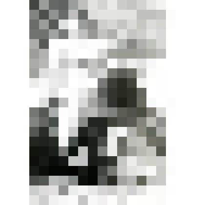 Фотонегатив. Из комплекта: Архив Н.И. Артеменко-Толстой