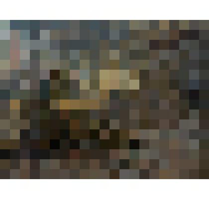 Боевая подруга