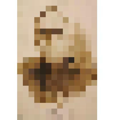 Рисунок. Портрет Рыжова Александра Ивановича, генерал-лейтенанта, Героя Советского Союза