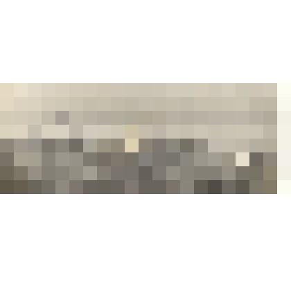 Фотография: типовой скотный двор на 120 голов в колхозе имени Чапаева Каменского района Алтайского края