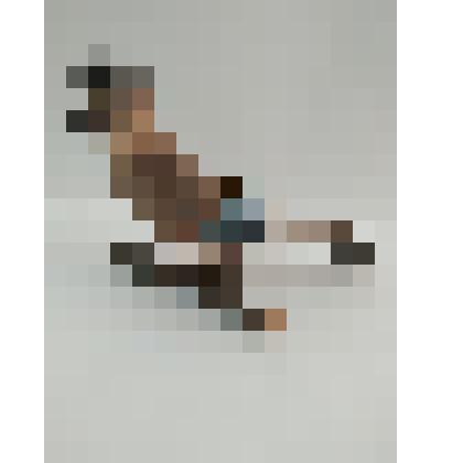 Чучело сойки