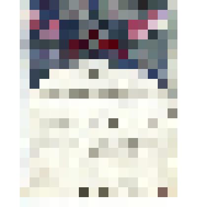 акварель. Заставка к рукописной программе музыкального концерта М.А. Олениной-ДАльгейм