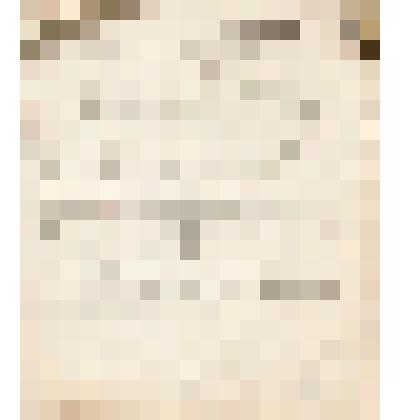 Телеграмма № 61 в г. Чердынь В.Н.Алину от С.П.Кожевина из г. Усть-Цильмы, 10 июля