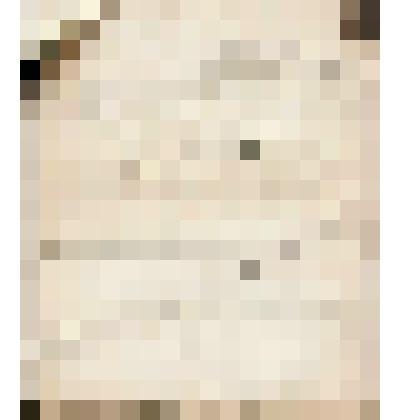 Телеграмма № 177 в г. Ирбит В.Н.Алину от Халфиных из г. Н.Челны, 13.01.1908 г