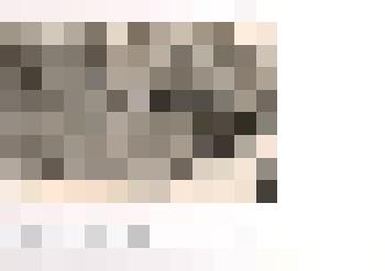 Фотография ч/б. Открытие памятника погибшим односельчанам в годы Великой Отечественной войны. с. Тюменцево. 1967 г