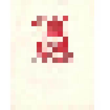 Экслибрис "REMO WOLF"