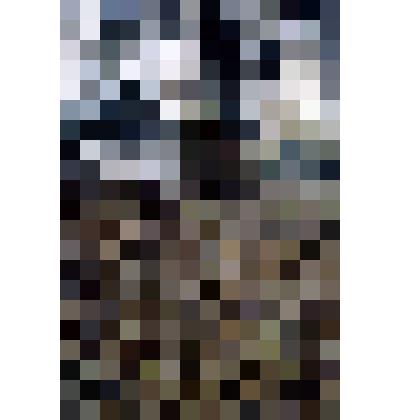 Диапозитив. Парк. (320)