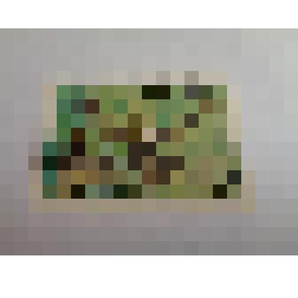 Марка "Hilobates concolor. Vuon den matrang"