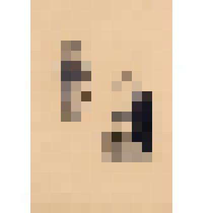 Иллюстрация к повести Кассиля Л.А. "Кондуит и Швамбрания". Графика