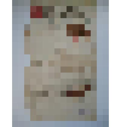 Покорнейшее прошение  Его Преосвященству Преосвященнейшему Агафодору, Епископу Балахнинскому  Викарию Нижегородской Епархии  от Прихожанина Единоверческой церкви Княгининского уезда, села М.Мурашкино крестьянина Порфирия Егорва Удалова