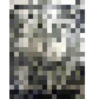 Гравюра. Старый мастер