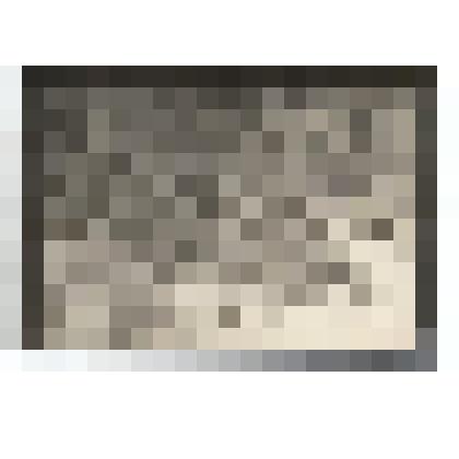 Фото/чб. Бойцы 148-й стрелковой Черниговской дивизии у разгромленного рейхстага. Берлин, Германия, 1945