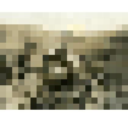 Фотография. Пахота в колхозе «Рольник» в пригороде г. Новороссийска