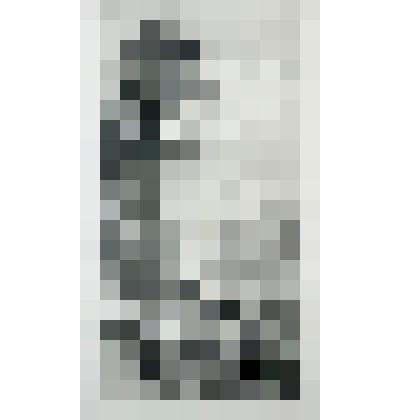 "На Каме близ Елабуги". Гравюра