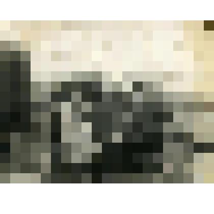 Фотография. Семья Шуваевых в  с. Коломенском