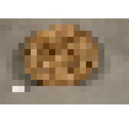 Крышка от "Горлатки"