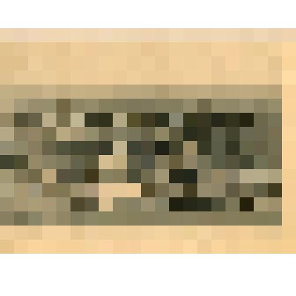 Лист. Вид города с Малахова кургана. Из альбома "Виды Севастополя"