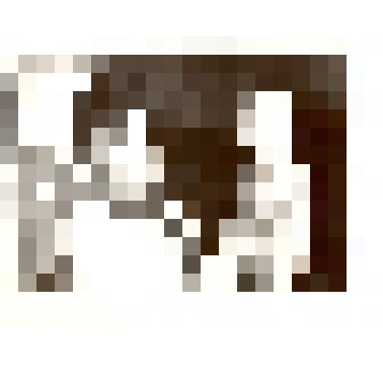 Фотография: Гуденко Эмилия Ивановна, детский врач 1-го участка Каменской детской поликлиники