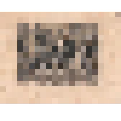 Орландо и борец. «Как вам это понравится»