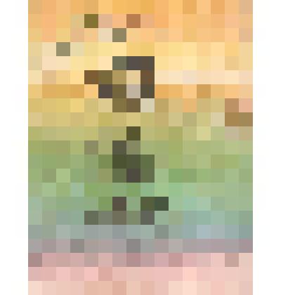 Книга. «Таң ата да, кич була».-Казань:Татарстан китап нәшрияты,1989